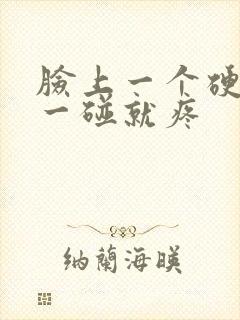 脸上一个硬疙瘩一碰就疼