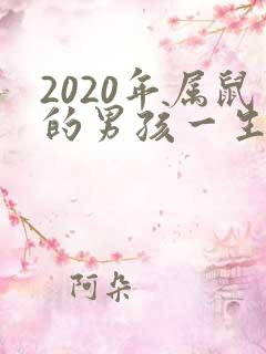 2020年属鼠的男孩一生命运