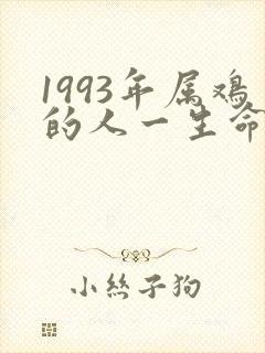 1993年属鸡的人一生命运如何