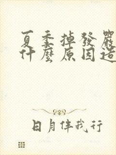 夏季掉发严重是什么原因造成的