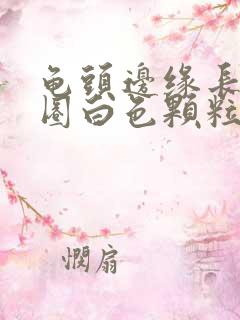 龟头边缘长了一圈白色颗粒还很痒