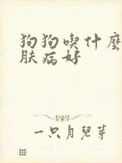 狗狗吃什么对皮肤病好