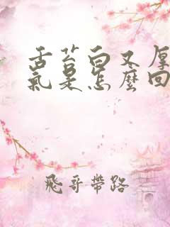 舌苔白又厚有口气是怎么回事