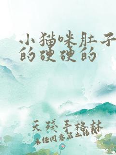 小猫咪肚子鼓鼓的硬硬的