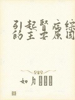 引起肾病综合征的主要原因