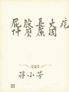 屁股长火疙瘩是什么原因