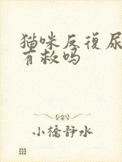 猫咪反复尿闭还有救吗