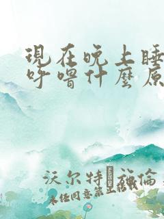 现在晚上睡觉打呼噜什么原因