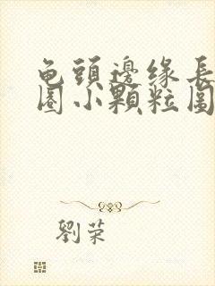 龟头边缘长了一圈小颗粒图片