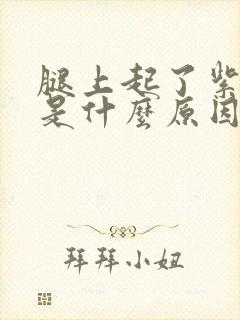 腿上起了紫疙瘩是什么原因