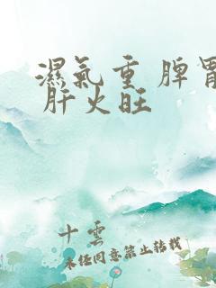 湿气重 脾胃虚 肝火旺