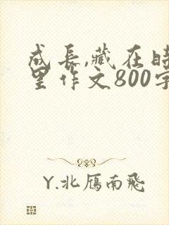 成长,藏在时光里作文800字