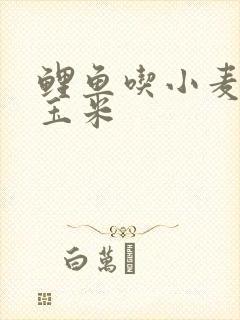 鲤鱼吃小麦还是玉米