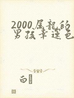 2000属龙的男孩幸运色