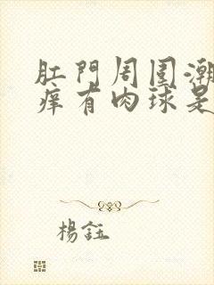 肛门周围潮湿瘙痒有肉球是什么原因