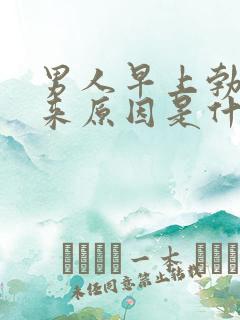 男人早上勃不起来原因是什么