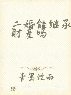 二婚能继承婚前财产吗