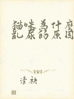 猫咪为什么乱拉乱尿的原因