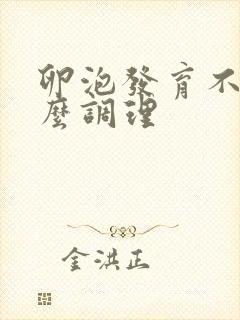 卵泡发育不良怎么调理