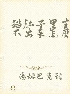 猫肚子里有毛吐不出来怎么办