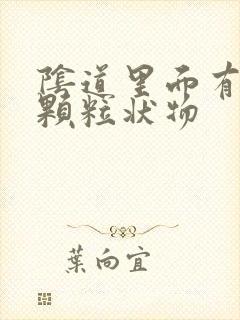 阴道里面有白色颗粒状物