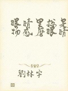 眼睛里总是有异物感磨眼睛怎么回事