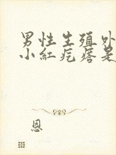 男性生殖外皮有小红疙瘩是怎么回事