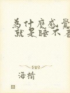 为什么感觉很困 就是睡不着