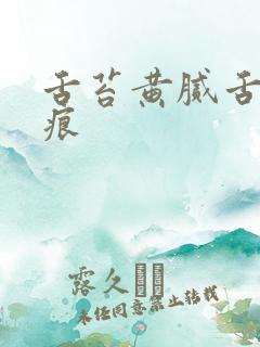 舌苔黄腻舌边齿痕