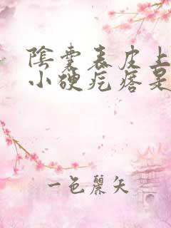 阴囊表皮上有个小硬疙瘩是怎么回事