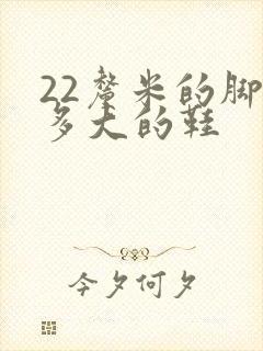 22厘米的脚穿多大的鞋