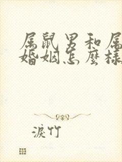 属鼠男和属兔女婚姻怎么样