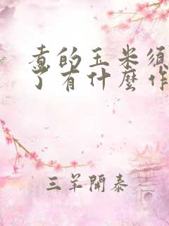 煮的玉米须水喝了有什么作用