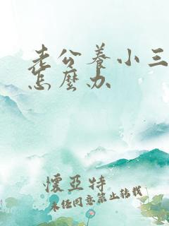 老公养小三我该怎么办