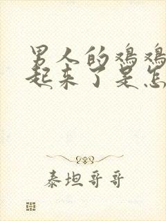 男人的鸡鸡硬不起来了是怎么了