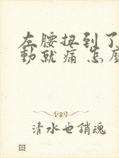 左腰扭到了 一动就痛 怎么办