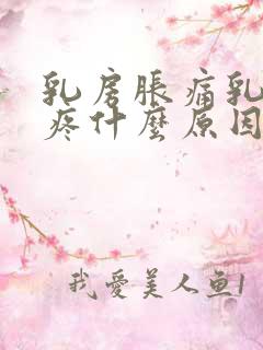 乳房胀痛乳头硬疼什么原因