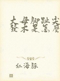 大母脚趾尖发麻发木是怎么回事