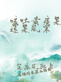 咳吐黄痰是风热还是风寒