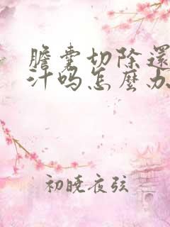 胆囊切除还有胆汁吗怎么办