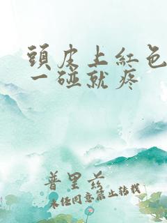 头皮上红色疙瘩一碰就疼