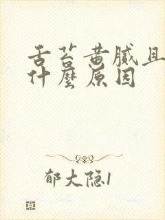 舌苔黄腻且厚是什么原因