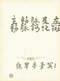 主动脉及左冠状动脉钙化斑块