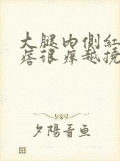 大腿内侧红色疙瘩很痒越挠越多