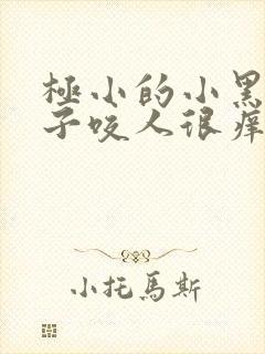 极小的小黑点虫子咬人很痒