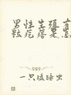 男性生殖有小米粒疙瘩是怎么回事