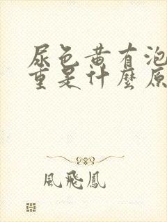 尿色黄有泡沫味重是什么原因