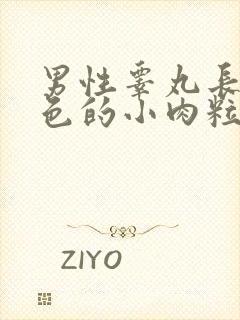 男性睾丸长了白色的小肉粒