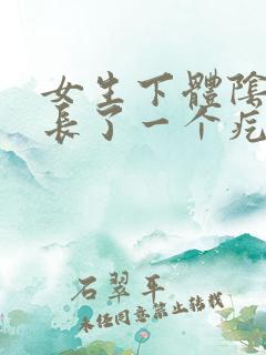 女生下体阴唇上长了一个疙瘩