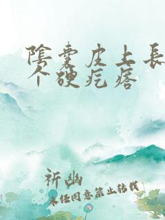 阴囊皮上长了一个硬疙瘩